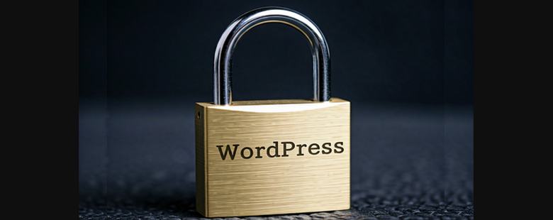 WordPress absichern