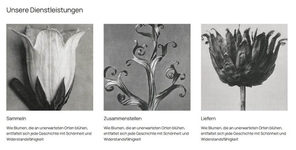 Dienstleistungen anbieten